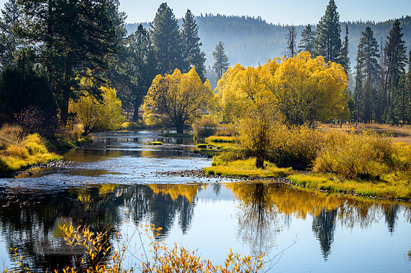 Fall Magic