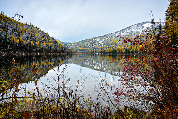 Seasonal Peace