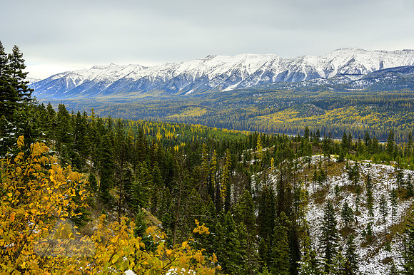 The Long View