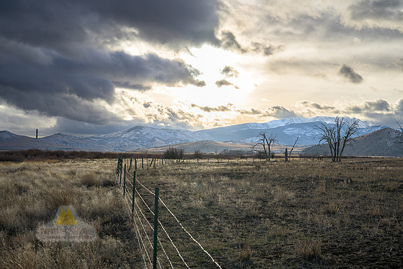 Fenced In