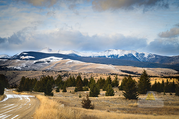 Early Winter