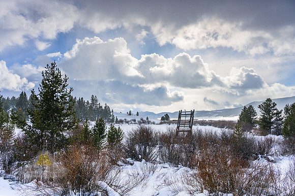 The Ice Pond