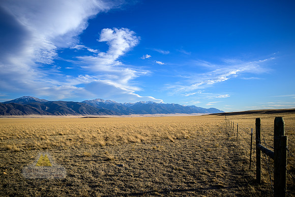 Long View