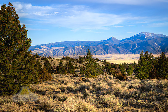 Down in the Valley