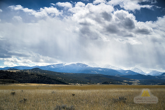 Flurries Up HIgh