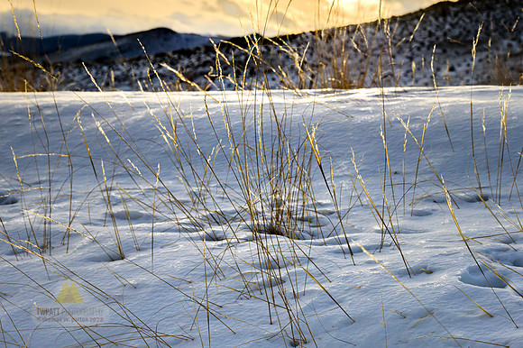 Waiting for Spring