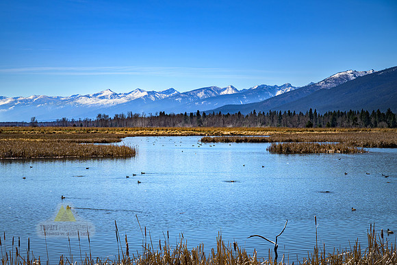 Refuge View