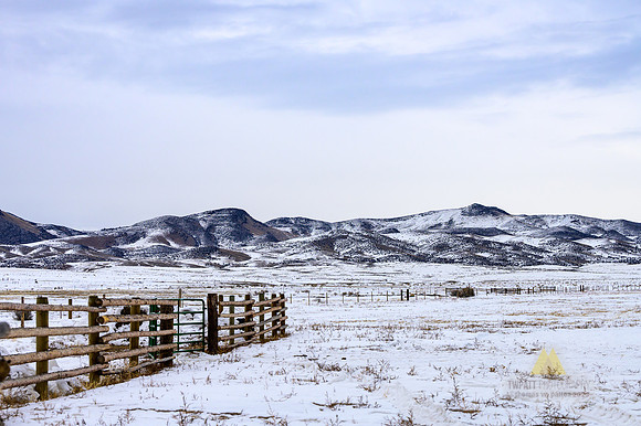 A Grey Day In Winter