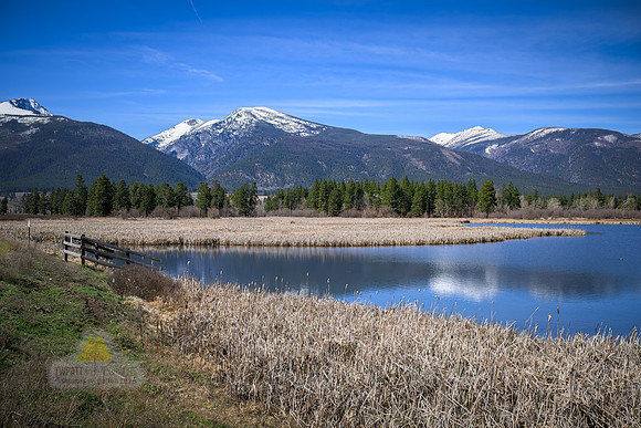 Spring View