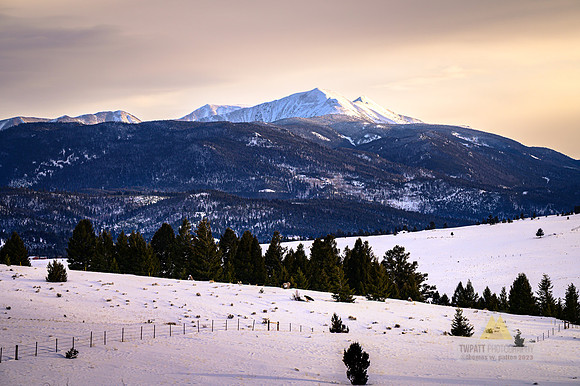Winter's Peace