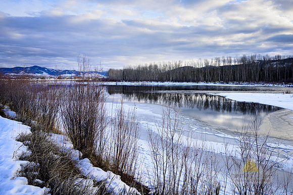 Icy Calm