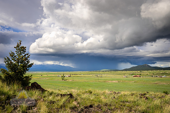 Spring Shower