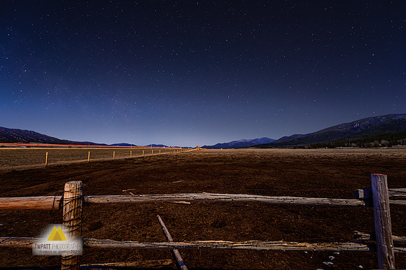 Moonlit Park