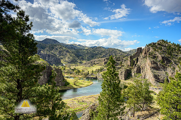 Spring in the Canyon