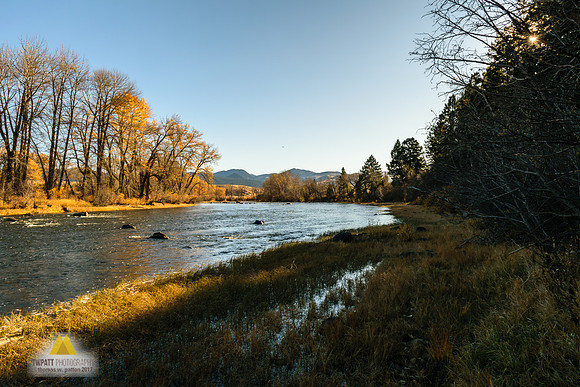 Peaceful beauty