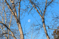 December Supermoon -- Two Days Past Due