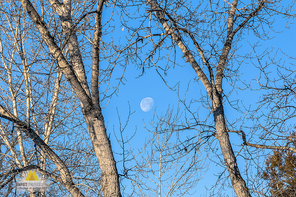 December Supermoon -- Two Days Past Due