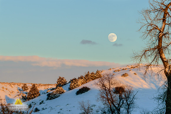 Full Moon Rising III