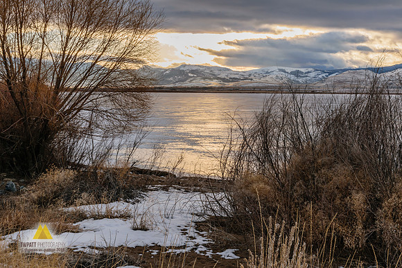 Winter Path
