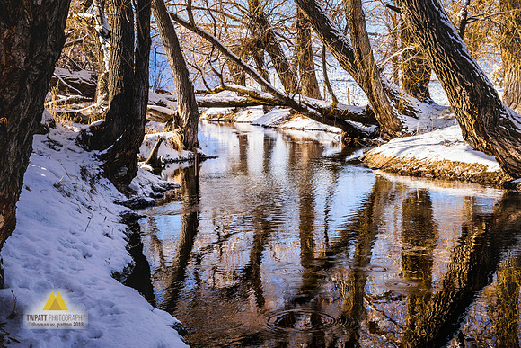 Winter Reflections