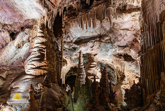 The Paradise Room I