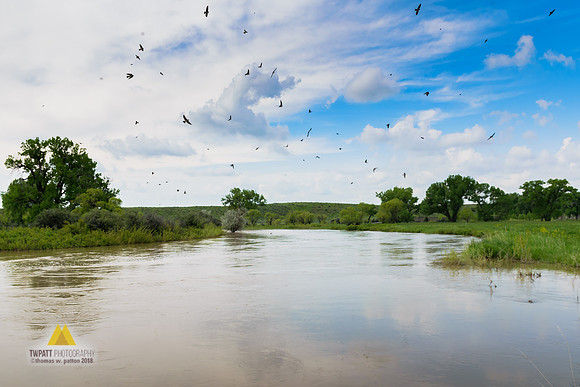 Flood Stage