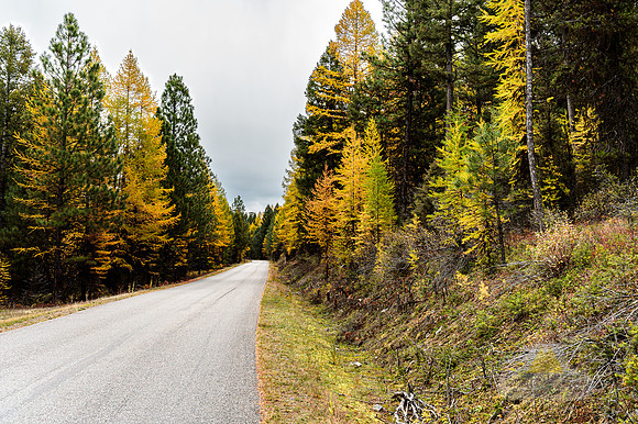 Road of Color