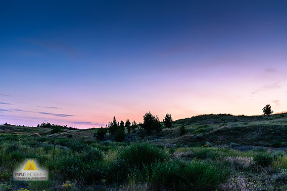 Dawn Color