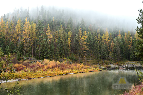 A Little Bit of Mist