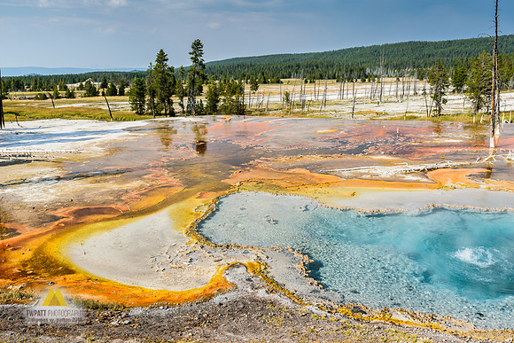 Firehole Spring