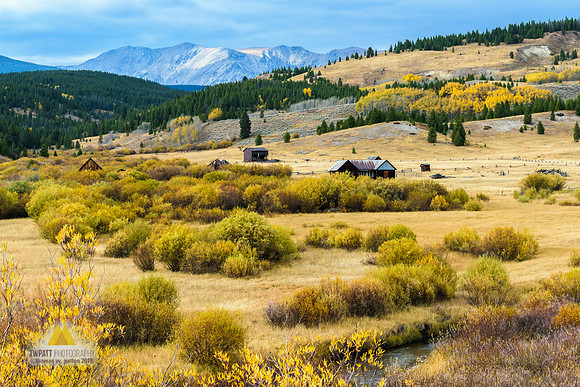 The Historic Mule Ranch