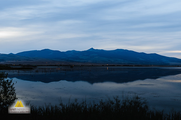 Night Reflection