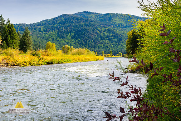 Clark Fork at Beavertail