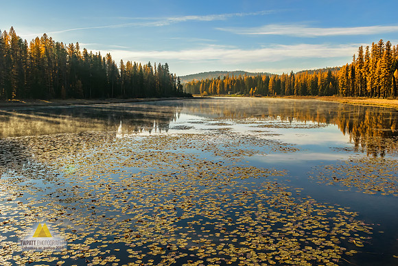 River Morning
