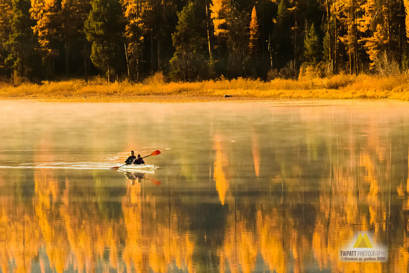 Paddling Through Gold