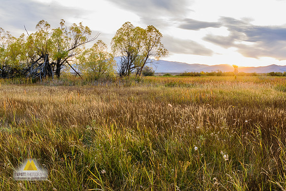 Warm Springs Sunset