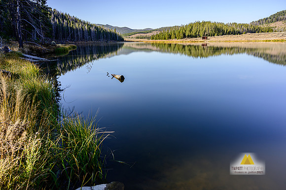 Calmitude