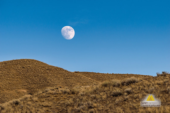 Wolf Moon