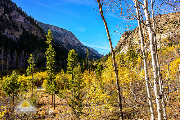 Canyon View