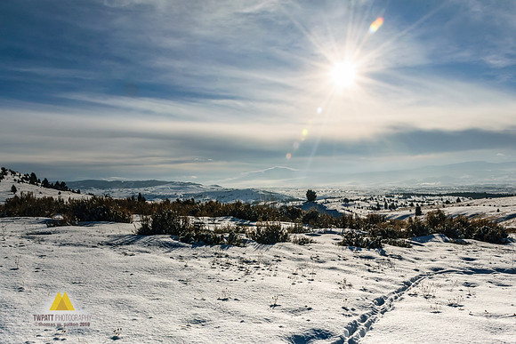 Beautiful Cold