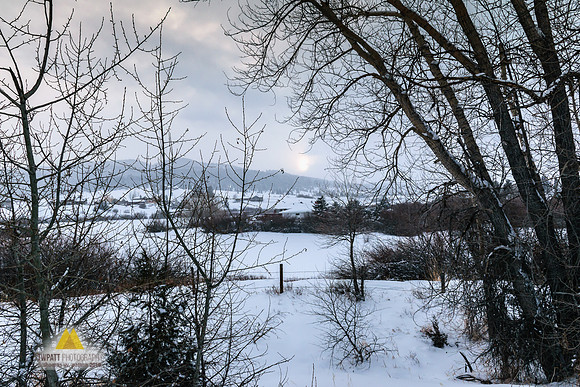 Cold Sun
