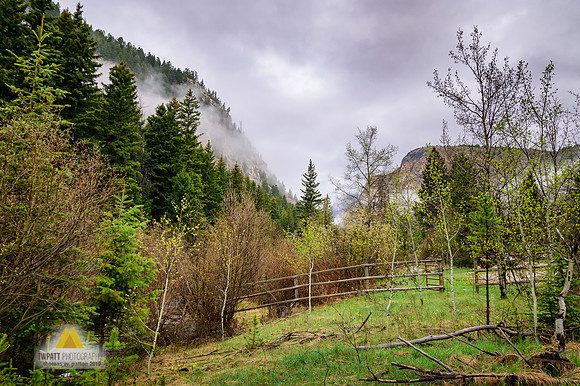 Moisty misty morning