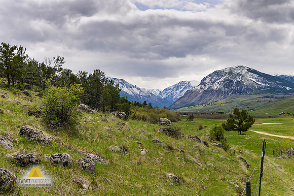 East Rosebud Creek
