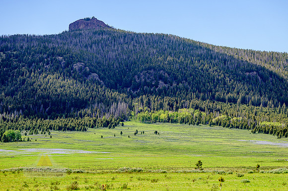 Meadows of Blue and Green