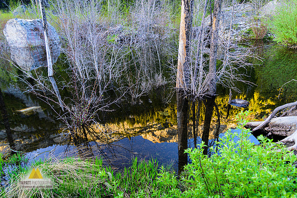 Reflections