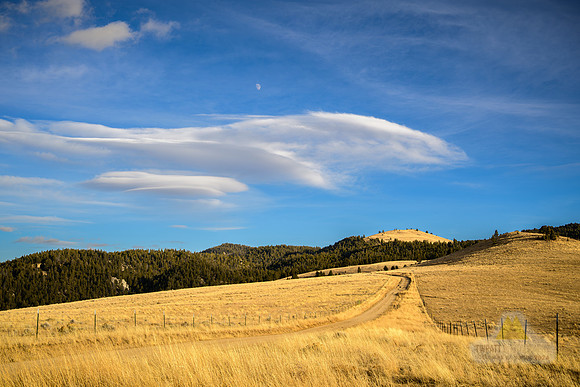 Fancy Cloud
