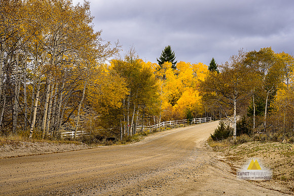 Country Roads