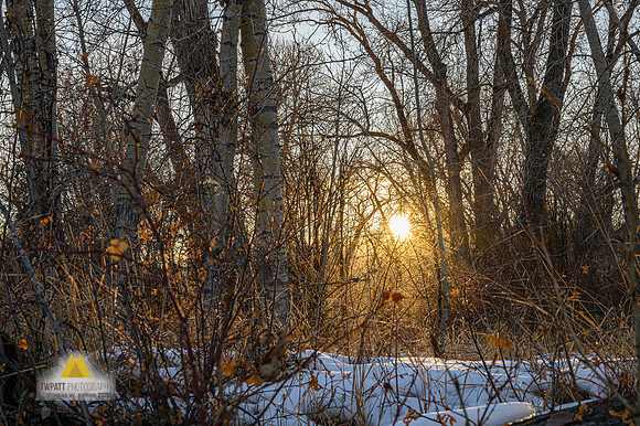 Stopping by Woods...