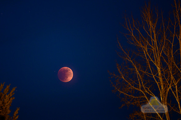 Blood Moon