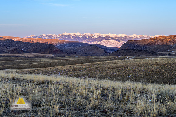 Resting Pristine
